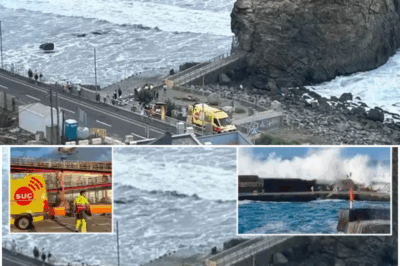 🌊😱 DE@DLY WATERS: Paradise Turns to Panic as 15ft Waves Smash Island — 3 Tourists K!lled, Dozens Swept Out to Sea 💔🌪️