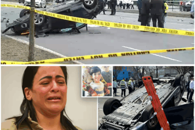 💔 Fatal Crash in Brooklyn: Wig Stylist Known for Her Quirky Style Drunk-Drives, Runs Red Light & Kills Mom + 2 Daughters — 90 Violations on Record 😢