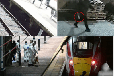 Horror on the Rails 🚆💣 Leaked Video Shows UK Knife Attacker’s Terrifying Breakdown — ‘Kill Me!’ He Screamed as Police Moved In 😳
