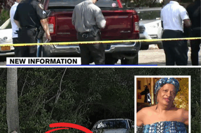 Shocking East Side Tragedy: Speeding Driver’s Rampage Kills Beloved Grandma on Her Own Porch – City Hall, What’s Your Plan to Stop This Nightmare?