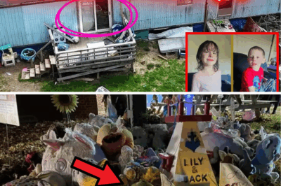 😱 BREAKING BOMBSHELL in Missing Kids Nightmare: Woman Finds BONES, KIDS’ CLOTHES & SHOES in Nova Scotia Woods – “Someone DUMPED This FRESH!” What if it’s Lilly & Jack Sullivan?