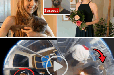 Chicago Inferno Horror: Cops Spill Shocking New Details on Train Fiend’s 72-Arrest Rampage—Victim’s Agonizing Fight for Life Exposed!