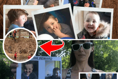 Heartbreak After 5 Years: Toddler Dylan Ehler’s Body Found in Tragic Twist – No Miracle, Just a Painful End to Endless Search!!!