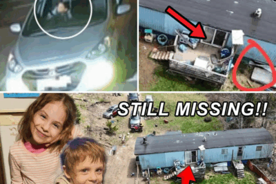 Hidden Horrors Exposed: Chilling Evidence Unearthed in Walls and Floors of Sullivan Family Trailer – What Lurks Beneath the Surface in the Hunt for Lilly and Jack?