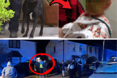 Unimaginable Horror in Quiet Welsh Village: Innocent 9-Month-Old Baby Brutally Mauled to Death by Family Pet in Heart-Shattering Attack – Police Seize Vicious Dog as Shocked Community Demands Answers, Leaving Parents Worldwide in Tears and Terror! 😱💔🐕