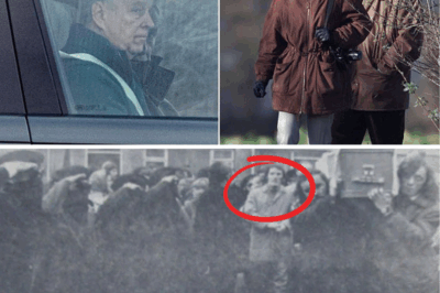 Shattered Promises and a Paratrooper’s Nightmare: 78-Year-Old British Veteran, Once Cleared of IRA Shootout Terror 50 Years Ago, Now Dragged to Northern Ireland’s Courtroom Crucible – Is This Justice or a Political Vendetta to Silence the Ghosts of The Troubles?