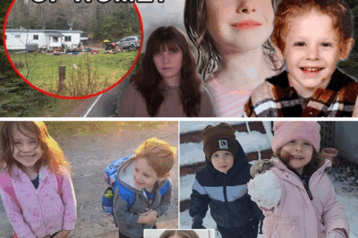 Vanished into the Mist: The Endless Search for Nova Scotia’s Lost Siblings, Lilly and Jack Sullivan