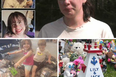 Echoes in the Woods: Fresh Clues and Fading Hopes in the Haunting Saga of Nova Scotia’s Missing Sullivan Siblings