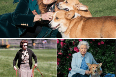 Corgis in the Crosshairs: Queen Elizabeth’s Beloved Pets Stay Loyal to Andrew’s Clan Amid Royal Eviction Drama