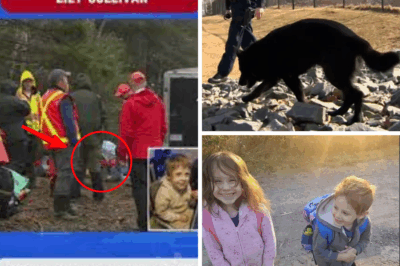Hiker’s Grim Discovery 50 Kilometers from Sullivan Home Ignites Hope and Heartbreak in Nova Scotia Missing Children’s Saga