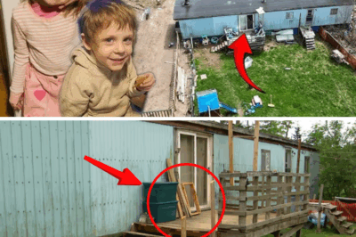 Whispers in the Dark: Witnesses Recall Mysterious Vehicle on Eve of Nova Scotia Children’s Vanishing