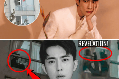 Millions can’t stop hitting replay as Yu Menglong’s latest footage spreads across platforms. Every frame seems to carry a hidden message that fans are desperate to decode. The shocking part? Even experts are questioning what they’re seeing.