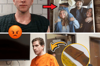 Echoes of the Sheath: Unsealed Files Illuminate the Knife That Cut Short Four Lives in Idaho