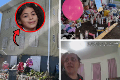 Echoes from the Abyss: The Unearthed Footage of Mimi Torres-Garcia’s Final Torment