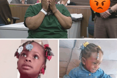 Betrayal in the Nursery: The Heartbreaking Murder of Harmoni Henderson by Her Mother’s Closest Confidante