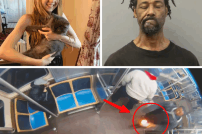 A Fiery Nightmare on the Rails: The Near-Fatal Attack on Bethany MaGee and Chicago’s Reckoning with Repeat Offenders