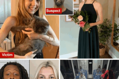 Echoes of Unspeakable Horror: Bethany MaGee’s Inferno on Chicago’s Blue Line Revives Ghosts of Iryna Zarutska’s Murder