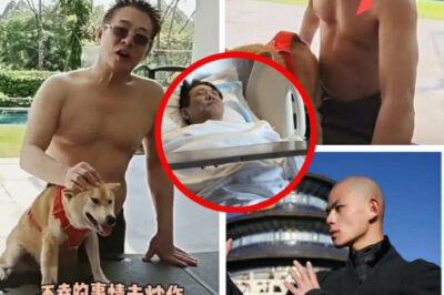 Jet Li’s Candid Poolside Video Fuels Speculation Over Persistent Health Rumors