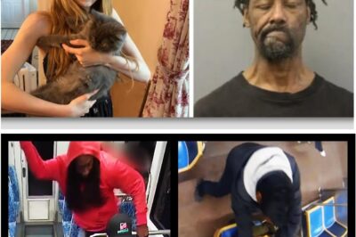 Echoes of Tragedy: Chicago Woman Set Ablaze by Repeat Offender Freed on Ankle Monitor – A Grim Parallel to Iryna Zarutska’s Fatal Stabbing