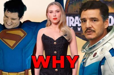 Hollywood’s Laughable Meltdown: Blaming ‘Toxic Alpha Males’—Especially White Men—for 2025’s Historic Box Office Bust