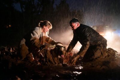 Winter’s Whisper: Taylor Swift and Travis Kelce’s Secret 200km Dash to Save a Mud-Trapped Pup – A 2-Year Family Bond That Broke Hearts and Healed Souls!!!