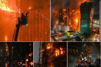 Hong Kong Blaze Bombshell: No Alarms, Heroic Civilian Alert—and Eerie Basement Noises That Fueled Fears of Explosions in Deadly Inferno