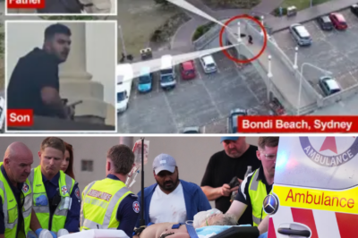 Bondi Beach Attack Prompts National Debate on Firearms Laws After Father-Son Duo Uses Licensed Weapons.