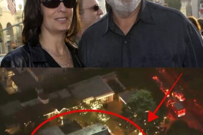 Son Charged with Murder After Iconic Director Rob Reiner and Wife Michele Found Stabbed to Death in Brentwood Bedroom