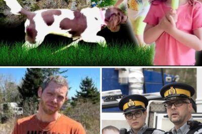 RCMP Denies Lost Evidence Claims in Disappearance of Nova Scotia Siblings Lilly and Jack Sullivan