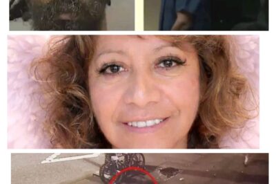 Florida Man Charged with Murder After Fatal Stabbing Inside Barnes & Noble Bookstore