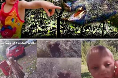 Disturbing Online Theories Resurface in Long-Unsolved Disappearance of Tennessee Girl Summer Wells Amid Recent Police Activity