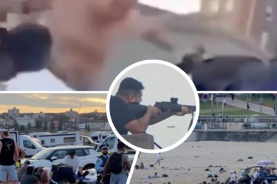 Furious Aussie Hero Stomps on Bondi Gunman’s Head: “What Every Australian Wanted to Do!” – Shocking 5 Words That Sum Up National Rage