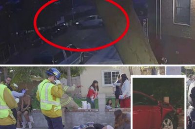 Drunk Driver’s Daytime Nightmare: 8 Teen Runners Mowed Down in Shocking Broad-Daylight Horror – Will Justice Prevail?