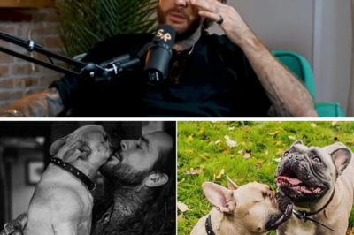 Pete Wicks’ Heartbreak: ‘Tough Week’ After Near-Death Scare with Beloved One-Eyed Dog Peggy – The Emotional Reunion Fans Didn’t See Coming