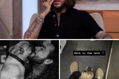 Pete Wicks Devastated: Strictly Star Reveals Heart-Wrenching Loss of Beloved Dog Peggy in Emotional Shock Confession