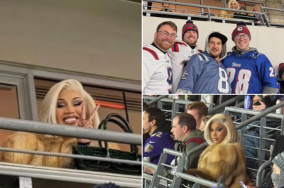Cardi B Turns the Stands Into a Celebration as She Laughs and Poses With Patriots Fans in Baltimore