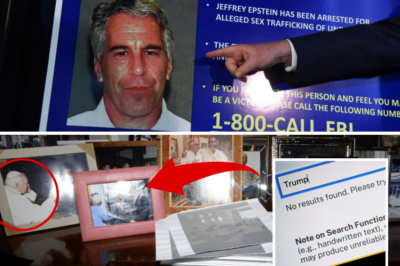 SHOCKING: Over a Dozen Newly Released Epstein Files – Including Trump Photo – Vanish Overnight from DOJ Website Without Explanation! What Are They Hiding?