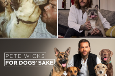 Pete Wicks Branded “Mad” for Preferring Dogs Over People – His Savage 5-Word Clapback Leaves Critics Speechless
