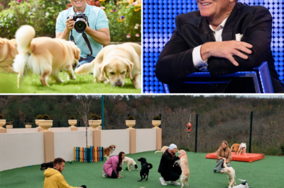 Paws for Hope: Bradley Walsh’s £10M Gift Turns Stray Dreams into a Furry Forever-Home Haven! 🐾💕