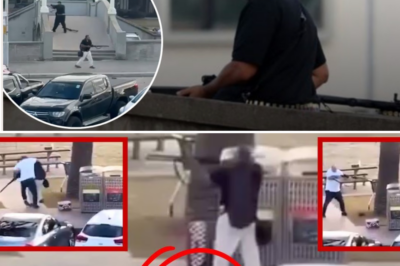 Bondi Beach Horror: Father-Son Terror Duo Gu::ns Down 15 at Hanukkah Celebration – Surviving Sho::oter Critical as Police Uncover Chilling Evidence of a Possible Third Suspect