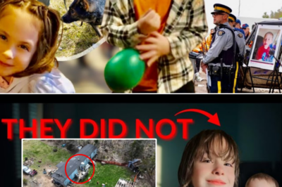 Last Update: Court Documents Reveal Unbelievable New Details in the Lilly and Jack Sullivan Case