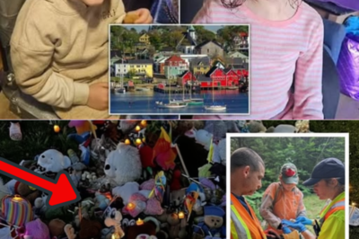 Chilling Twist in Missing Nova Scotia Siblings Case: Volunteers Find Nothing in Massive Search, But Cops Unearth Dark River Clue That Could Crack It Wide Open – The Heartbreaking Hunt for Lilly and Jack Sullivan