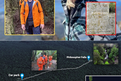 People Don’t Just Get Lost Here — They Vanish: The Eerie Mystery of Celine Cremer in Tasmania’s Tarkine Rainforest