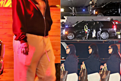 Rihanna’s Quiet Flight From Miami to New York Sparks Subtle Curiosity