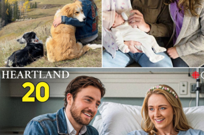 Heartland Season 20: Amy’s Choice Could Change Everything