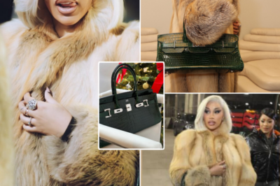 Cardi B’s $125,000 Hermès Purse Steals the Show at Patriots’ Dramatic Playoff-Clinching Win Over Ravens – As Boyfriend Stefon Diggs Shines on Field