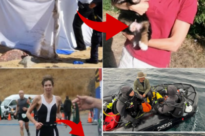 Remains of Missing Triathlete Found in Santa Cruz After Shark Sighting With Human Body