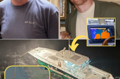 Eerie Mystery Deepens in Gulf of Mexico: No Distress Call, Just Unexplained GPS Changes Before Two Men Vanish
