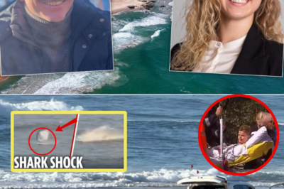 “Lukas, Something’s Watching Us”: The Harrowing 14-Minute GoPro Footage That Exposes the Chilling Prelude to Livia Mühlheim’s Fatal Shark Attack – A Paradise Swim Turned Nightmare
