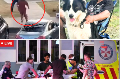 ‘Every Machine Beep Terrifies Me’💔🚨 Father of Bondi’s Forgotten Red-Shirt Hero Breaks Down as His Son Fights for Life in a Coma